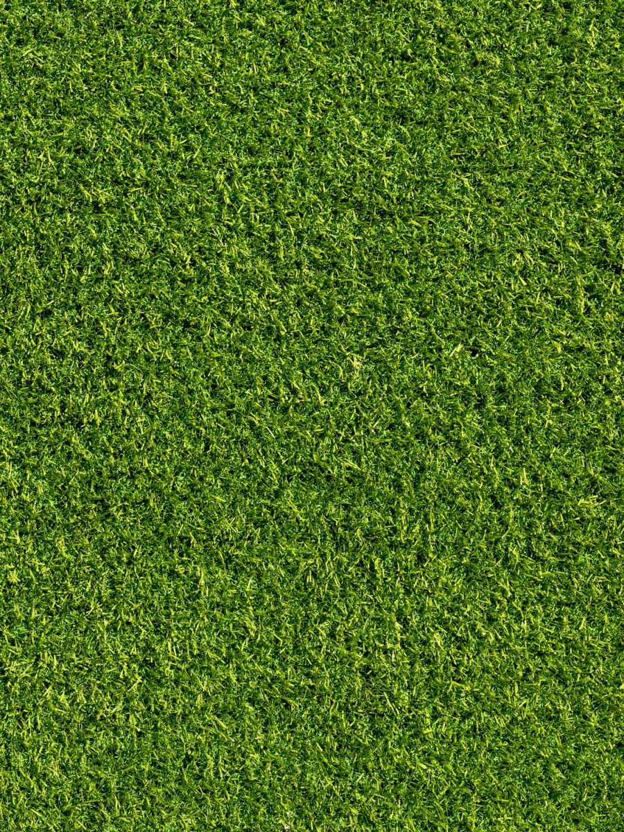 artificial-grass-carpet-background-.jpg
